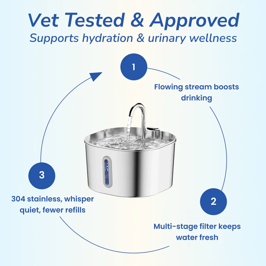 LumaFlow™ Flow Pet Fountain — Fresh, Filtered Water 24/7